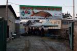 Ilustrační foto - Prodej vánočních ryb v Sokolovské ulici