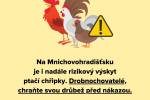 Ilustrační foto - Zásady pro drobnochovatele: ptačí chřipka
