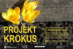 Ilustrační foto - Muzeum Mladoboleslavska uctí památku dětských obětí holokaustu vysazením žlutých krokusů