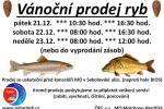 Ilustrační foto - Vánoční prodej ryb v Mnichově Hradišti