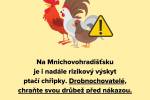 Ilustrační foto - Zásady pro drobnochovatele: ptačí chřipka