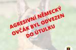 Ilustrační foto - Agresivní německý ovčák byl odvezen do útulku