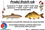 Ilustrační foto - Prodej živých ryb v Sokolovské ulici