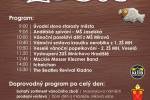 Sobota 10. prosince bude patřit Vánočnímu jarmarku Ilustrační foto - Sobota 10. prosince bude patřit Vánočnímu jarmarku