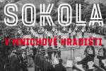 Ilustrační foto - Vernisáž výstavy 160 let Sokola v MH bude 7. 9. od 17:00 v muzeu