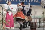 Ilustrační foto - Pojizerský folklorní festival ve fotografiích – I. část