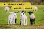 Ilustrační foto - Letní program Centra Náruč pro rodiny s dětmi: Přijďte si užít srpen s námi!