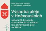 Ilustrační foto - Přijďte si vysadit strom podél nové cesty u Hněvousic