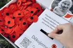 Ilustrační foto - Vlčí máky na podporu válečných veteránů. Tradiční sbírka trvá do 11. listopadu