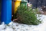 Ilustrační foto - Kam s ním? Vánoční stromek můžete odložit u kontejnerů na tříděný odpad