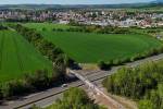 Ilustrační foto - Prořezy a zajištění vybraných větvení: část Husovy aleje čeká od 25. května revitalizace